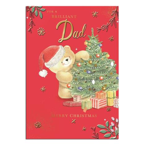 Dad Forever Friends Christmas Card